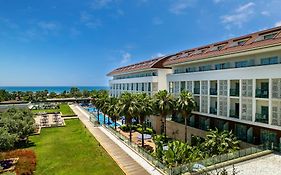 Trendy Verbena Beach